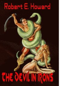 bokomslag Devil in Iron
