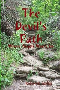 bokomslag The Devil's Path