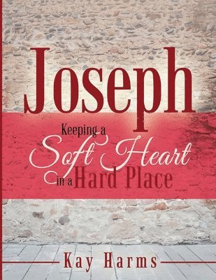 bokomslag Joseph - Keeping a Soft Heart in a Hard Place