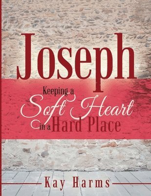 bokomslag Joseph - Keeping a Soft Heart in a Hard Place