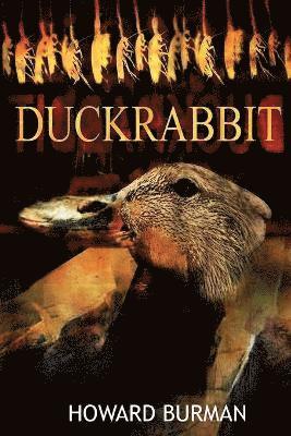 Duckrabbit 1