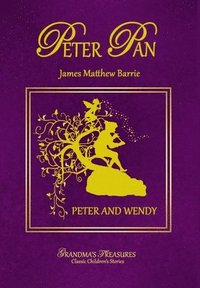bokomslag Peter Pan - Peter and Wendy