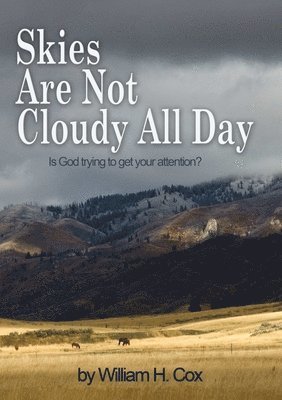Skies Are Not Cloudy All Day