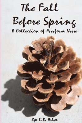 C.R. Asher, C. R. Asher - Fall Before Spring, Häftad