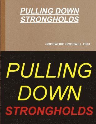 bokomslag Pulling Down Strongholds