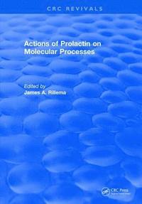 bokomslag Actions of Prolactin On Molecular Processes