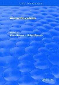 bokomslag Animal Brucellosis