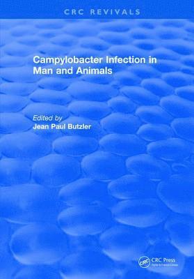 bokomslag Campylobacter Infection in Man and Animals