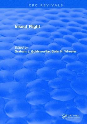 Insect Flight 1