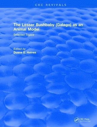 Lesser Bushbaby (Galago) as an Animal Model: Selected Topics