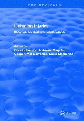 bokomslag Lightning Injuries