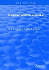 bokomslag Molluscan Shellfish Depuration