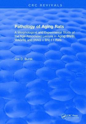 bokomslag Pathology Of Aging Rats