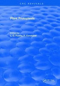 bokomslag Plant Protoplasts