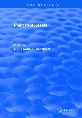 bokomslag Plant Protoplasts