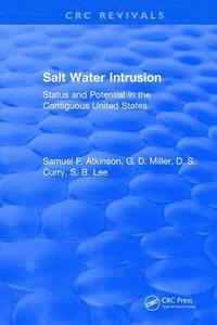 bokomslag Salt Water Intrusion