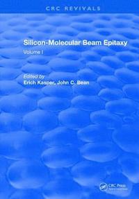 bokomslag Silicon-Molecular Beam Epitaxy