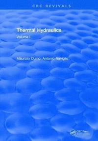 bokomslag Thermal Hydraulics