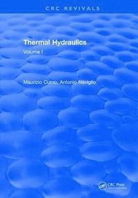 bokomslag Thermal Hydraulics