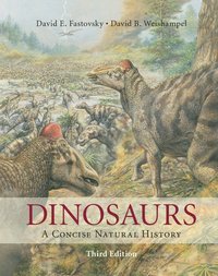 bokomslag Dinosaurs: A Concise Natural History