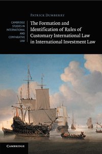 bokomslag The Formation and Identification of Rules of Customary International Law in International Investment Law