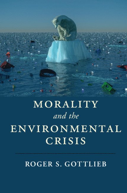 Roger S. Gottlieb, Massachusetts) Gottlieb, Roger S. (Worcester Polytechnic Institute, Roger S Gottlieb - Morality and the Environmental Crisis, Häftad