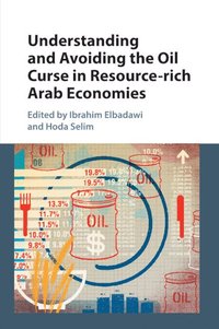 bokomslag Understanding and Avoiding the Oil Curse in Resource-rich Arab Economies