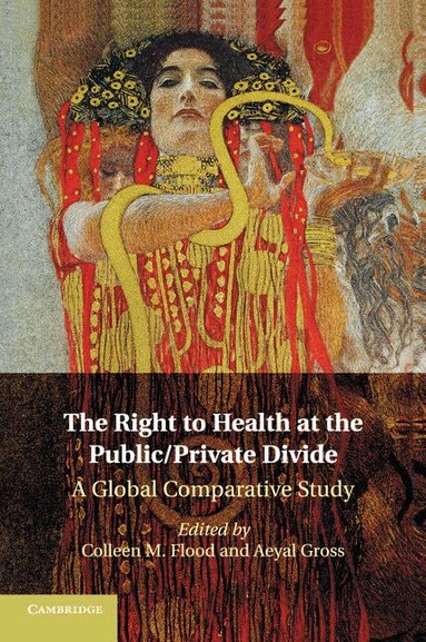 Colleen M. Flood, Aeyal Gross - The Right to Health at the Public/Private Divide, Häftad