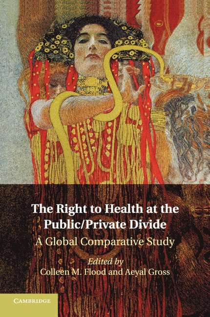 The Right to Health at the Public/Private Divide 1