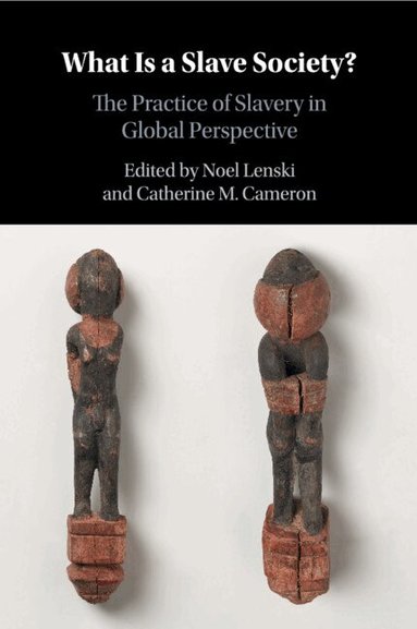 Noel Lenski, Catherine M. Cameron - What Is a Slave Society?, Häftad