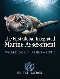 bokomslag The First Global Integrated Marine Assessment