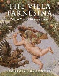 bokomslag The Villa Farnesina