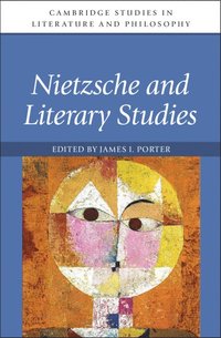bokomslag Nietzsche and Literary Studies