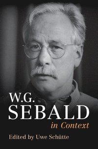 bokomslag W. G. Sebald in Context