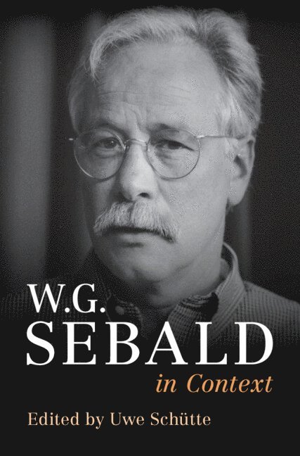 W. G. Sebald in Context 1