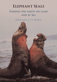 bokomslag Elephant Seals