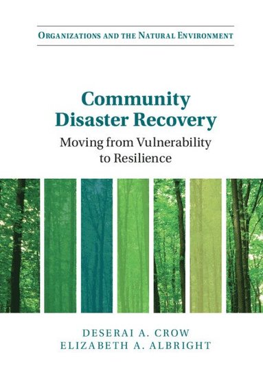 bokomslag Community Disaster Recovery