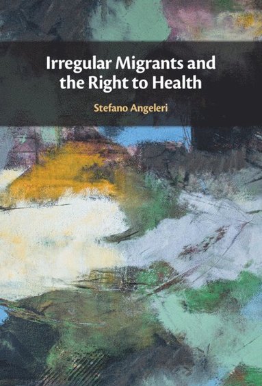 bokomslag Irregular Migrants and the Right to Health