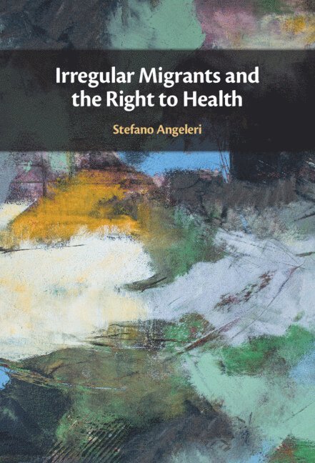 Irregular Migrants and the Right to Health 1