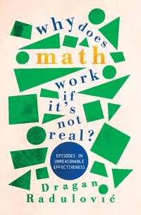 bokomslag Why Does Math Work ? If It's Not Real?