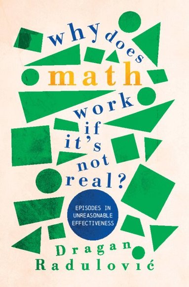 bokomslag Why Does Math Work ? If It's Not Real?