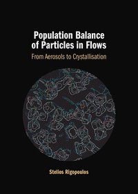 bokomslag Population Balance of Particles in Flows