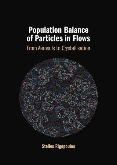 bokomslag Population Balance of Particles in Flows