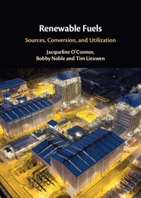 bokomslag Renewable Fuels