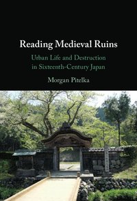 bokomslag Reading Medieval Ruins