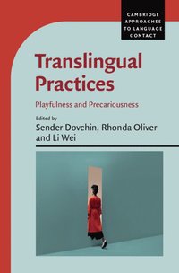 bokomslag Translingual Practices
