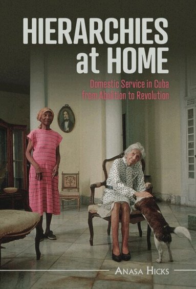 Anasa Hicks - Hierarchies at Home, Inbunden