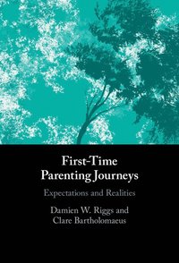 bokomslag First-Time Parenting Journeys