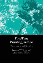 bokomslag First-Time Parenting Journeys