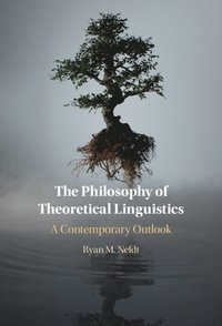 bokomslag The Philosophy of Theoretical Linguistics